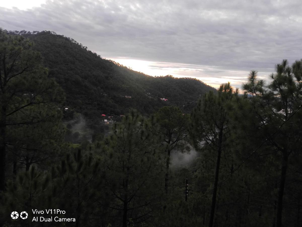 Pine Villa Kasauli Exterior photo